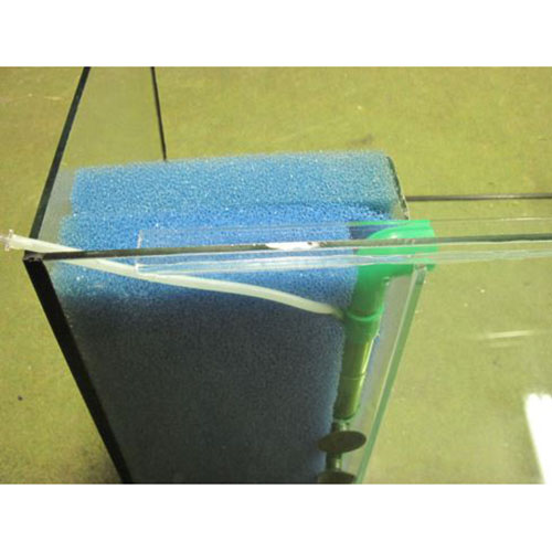 Kweek aquarium 100*50*40 cm transparant gelijmd - Afbeelding 2