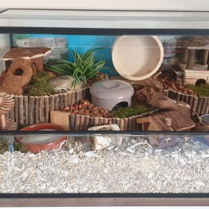 Knaagdieren terrarium 100*40*40 cm.