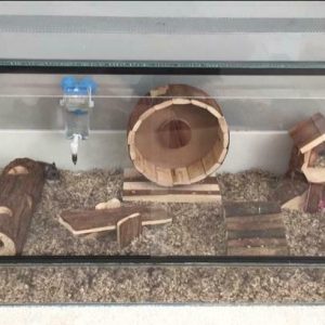Knaagdieren terrarium 60*40*40 cm.