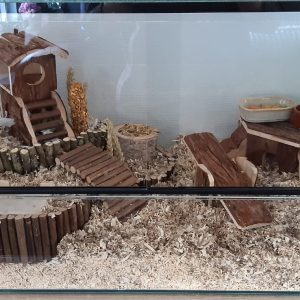 Knaagdieren terrarium 75*40*40 cm