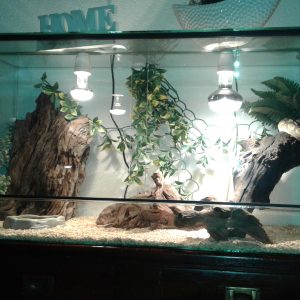 Terrarium 50*50*70 cm